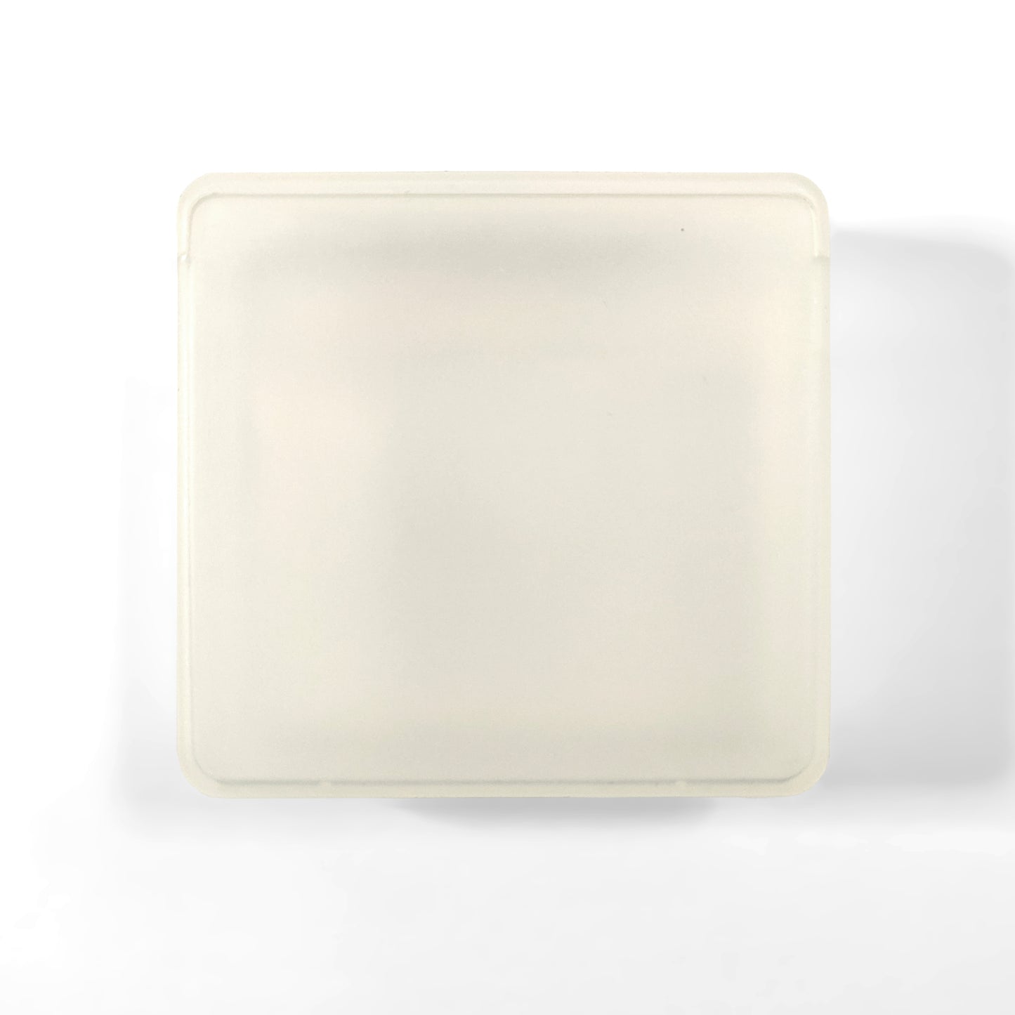 MiniDisc Storage Case