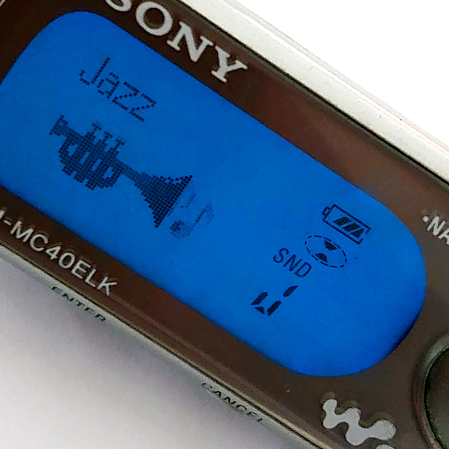Sony MZ-NH1 MiniDisc Recorder Bundle