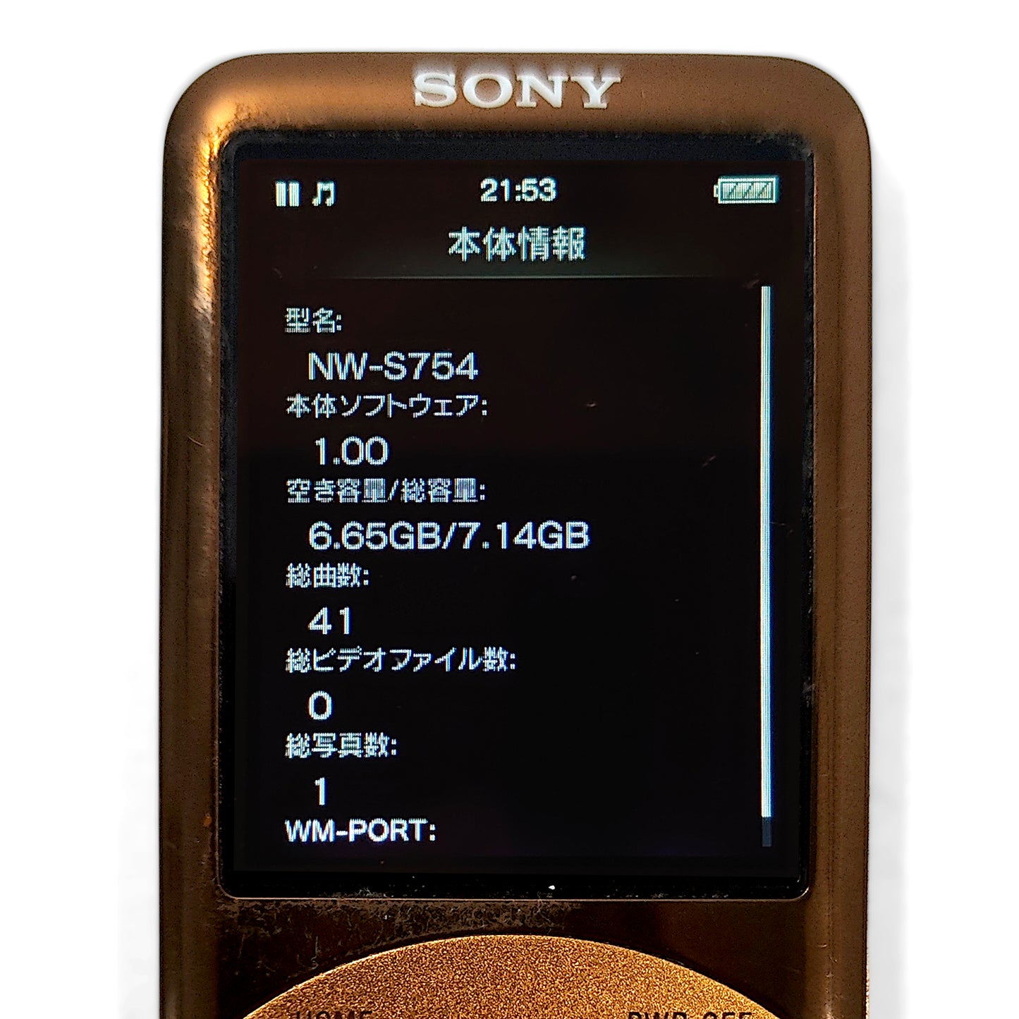 Sony NW-S754 Network Walkman 8GB