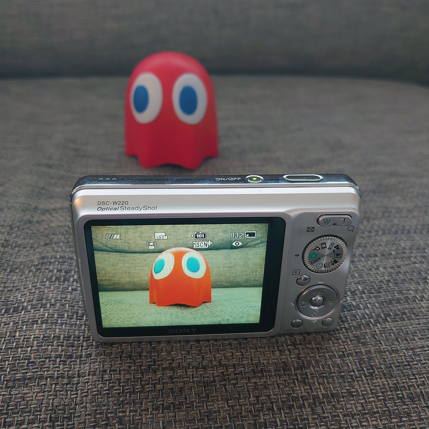 Sony Cyber-shot DSC-W220 Digital Camera