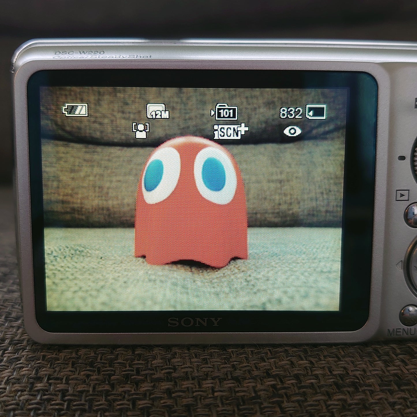 Sony Cyber-shot DSC-W220 Digital Camera